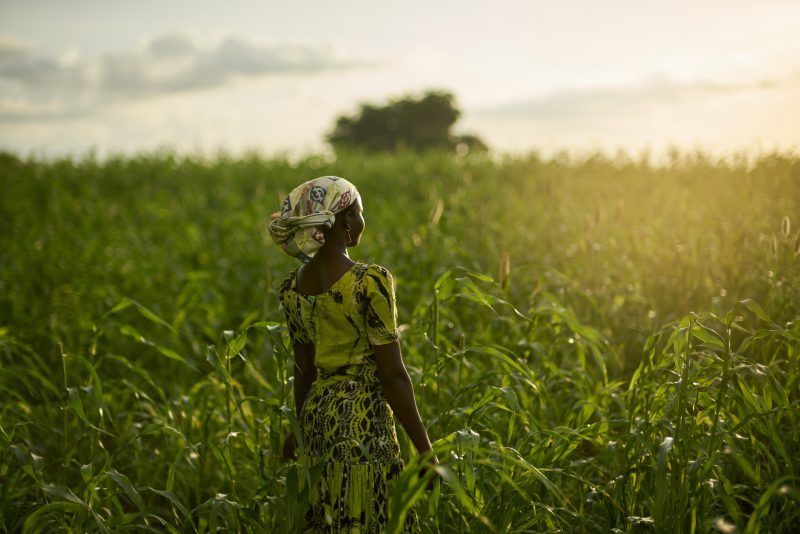 Au Ghana, Oxfam mène des projets de long terme pour soutenir l agriculture