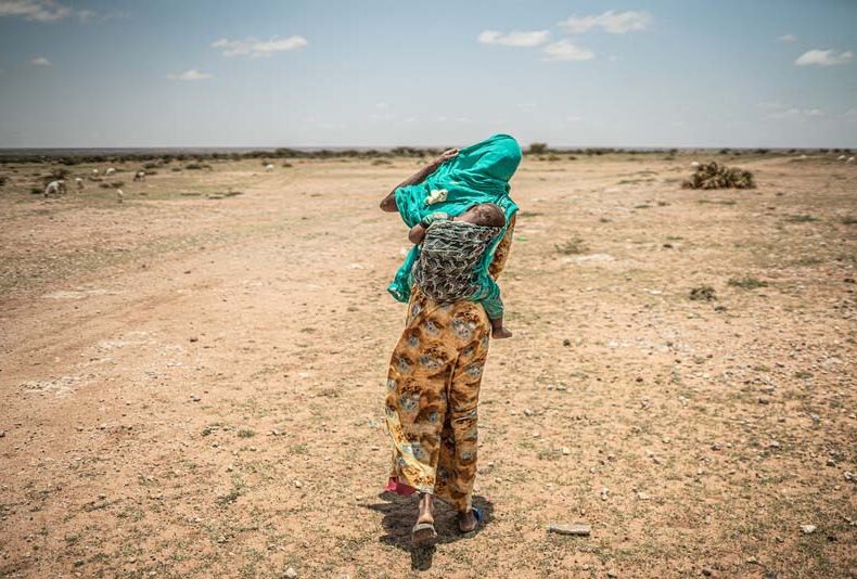En Ethiopie, des sécheresses intenses dus aux changements climatiques ont entraîné de graves crises alimentaires.